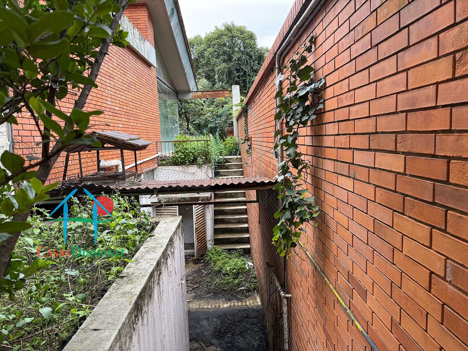 Bosques de las Lomas Terreno Jaguar BBC - Propiedad a demoler 19